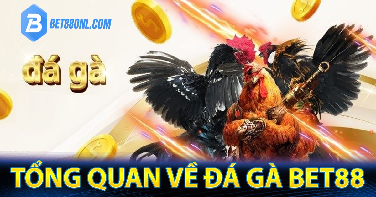 Tổng quan về đá gà Bet88